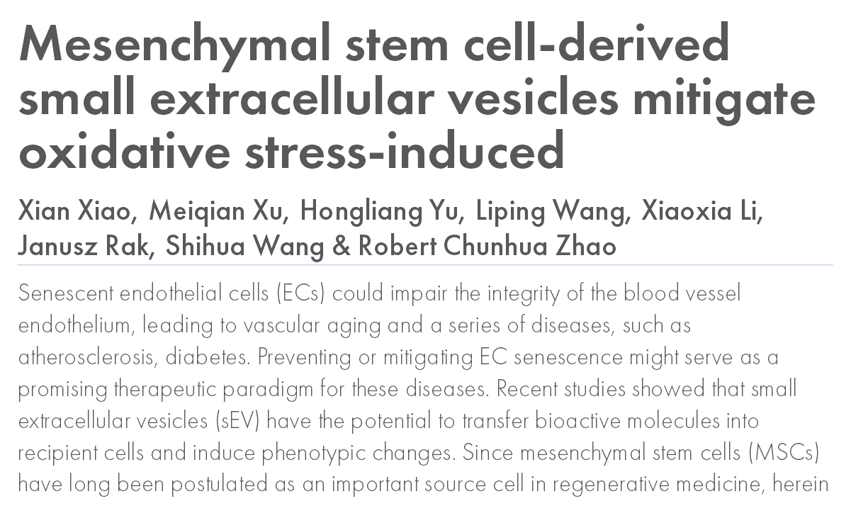 Mesenchymal Stem Cell-derived Small Extracellular Vesicles Mitigate Oxidative Stress-induced Senescence in Endothelial Cells