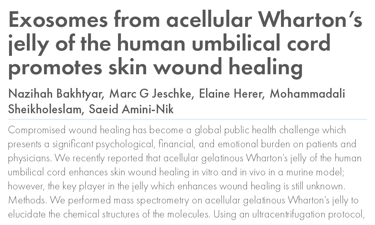 Exosomes from acellular Wharton’s jelly of the human umbilical cord promotes skin wound healing