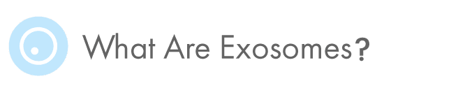 What Are exosomes?